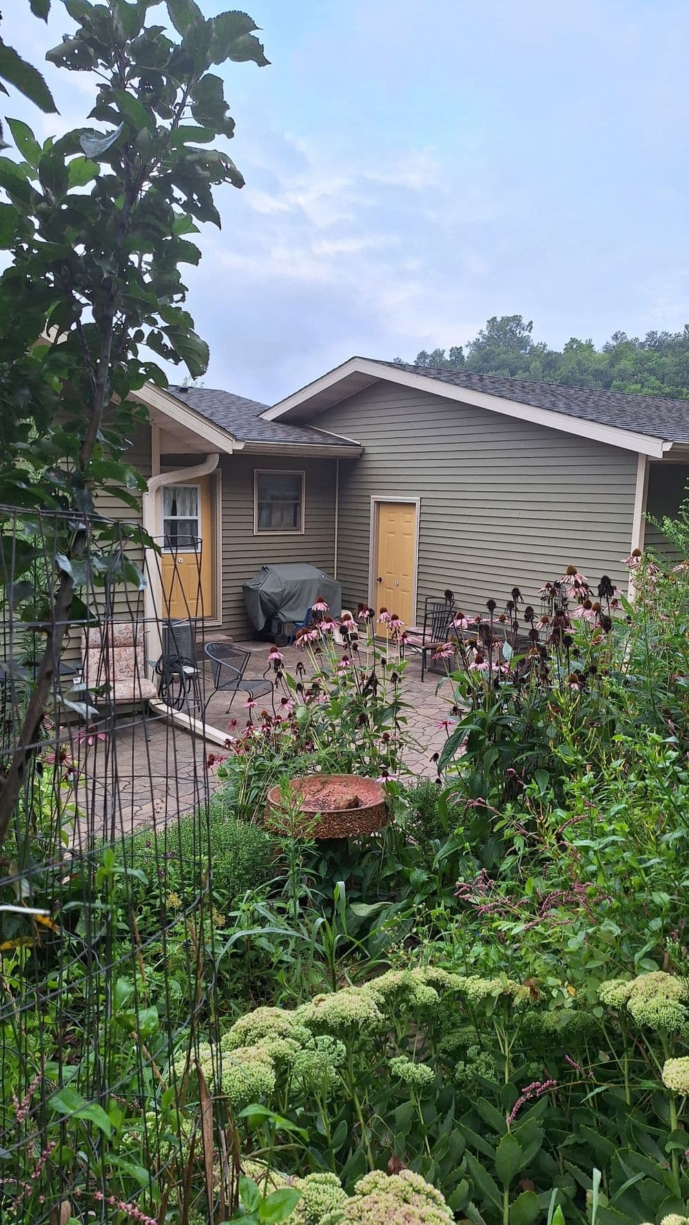 Well-maintained lawn with garden beds